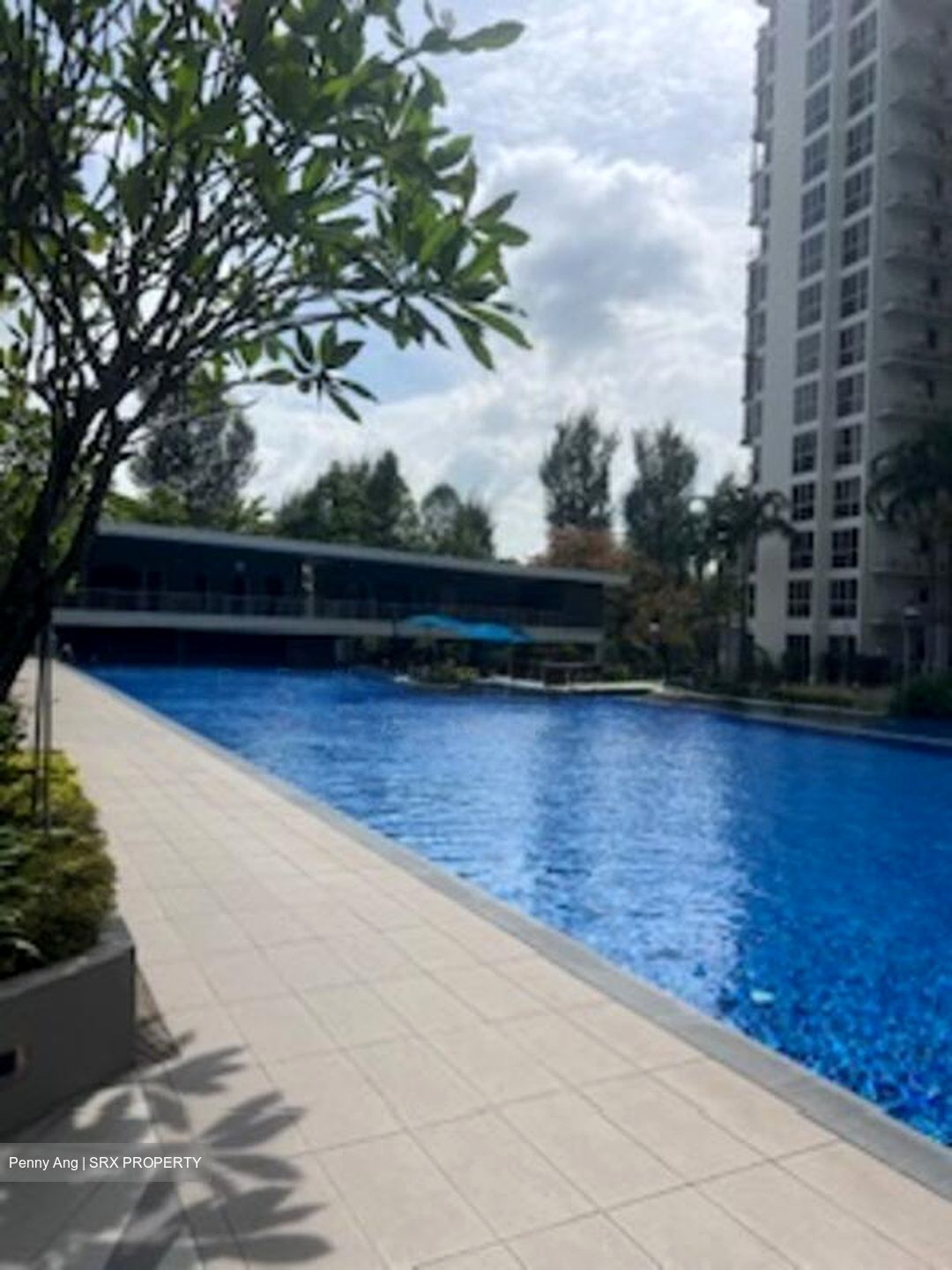 Lake Life (D22), Condominium #504020241